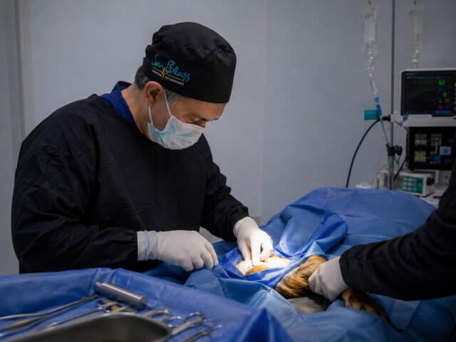 Cirugía Ortopédica Veterinaria en Armenia y Técnica TPLO: Excelencia en el Hospital Veterinario San Blass