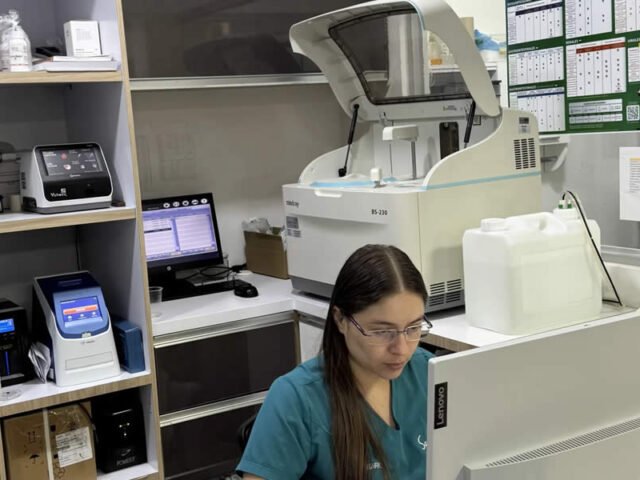 Laboratorio Clínico Veterinario en Armenia: Diagnóstico de Alta Complejidad en Hospital San Blass