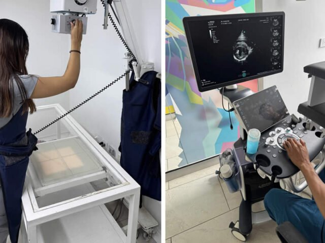 Rayos X Veterinarios en Armenia: Diagnóstico por Imagen Digital 24/7
