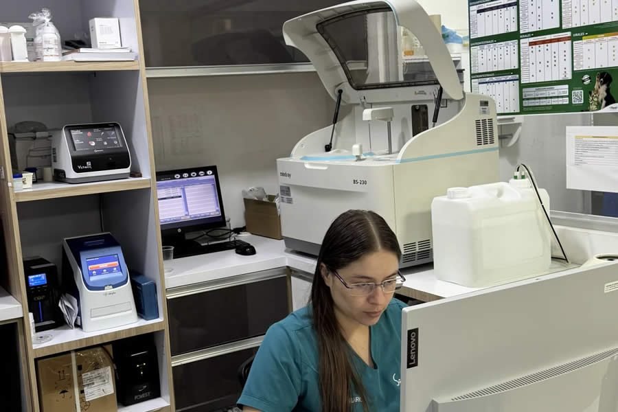 Laboratorio Clínico Veterinario en Armenia